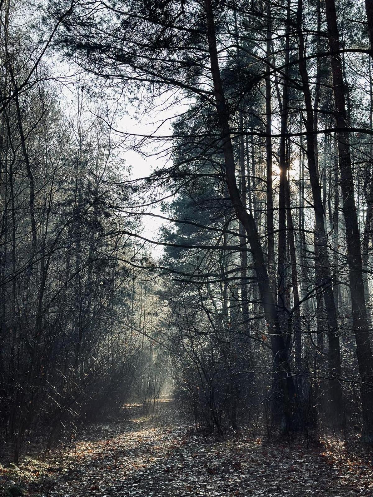 Domki Kacprowy W Lipnicy Lipnica  Esterno foto