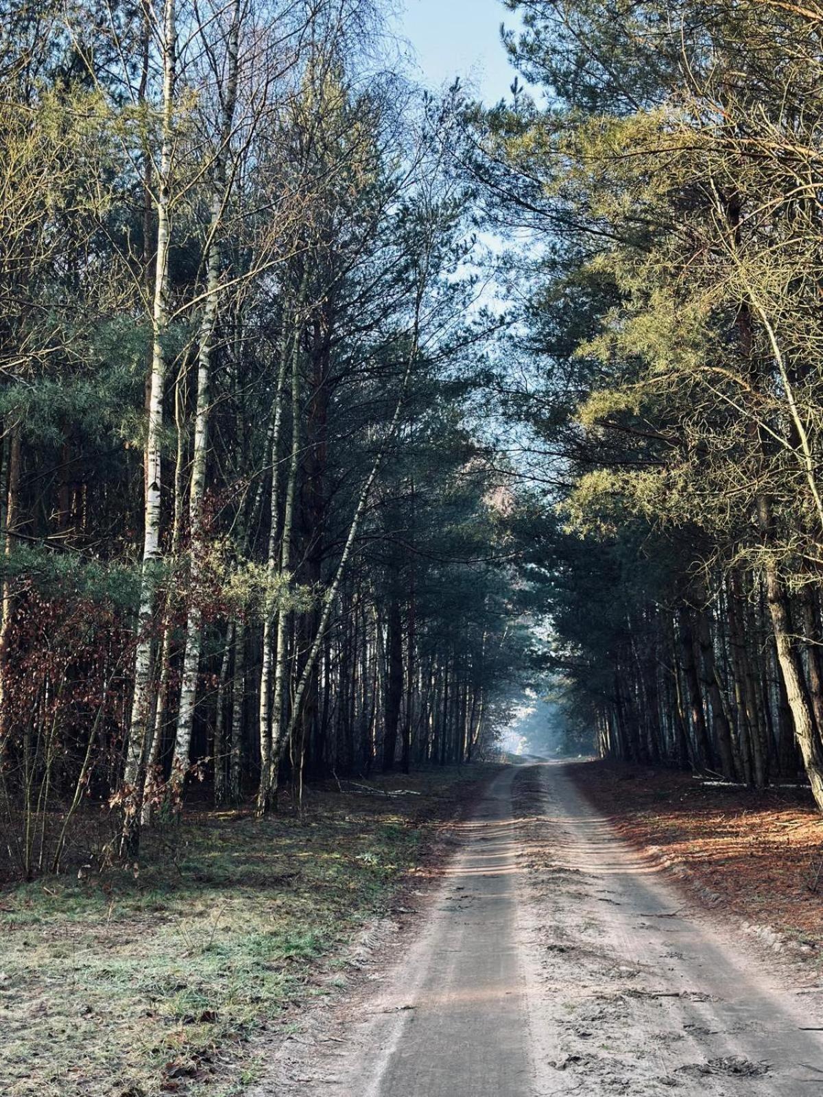 Domki Kacprowy W Lipnicy Lipnica  Esterno foto